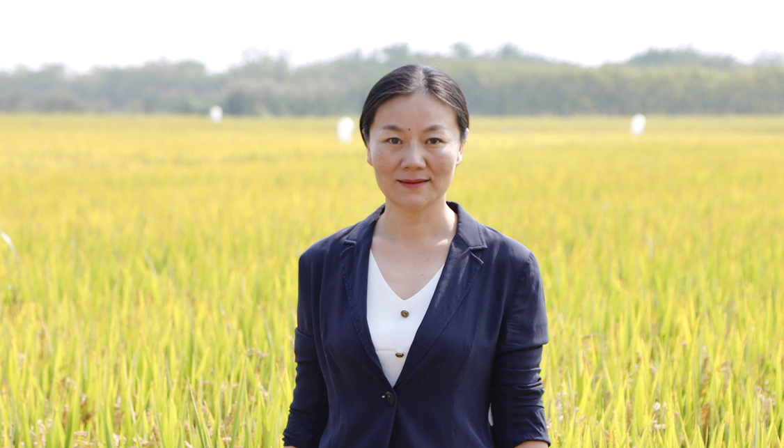 魏巧代表：激發“新農人”干事創業熱情?完善“新農人”體系建設