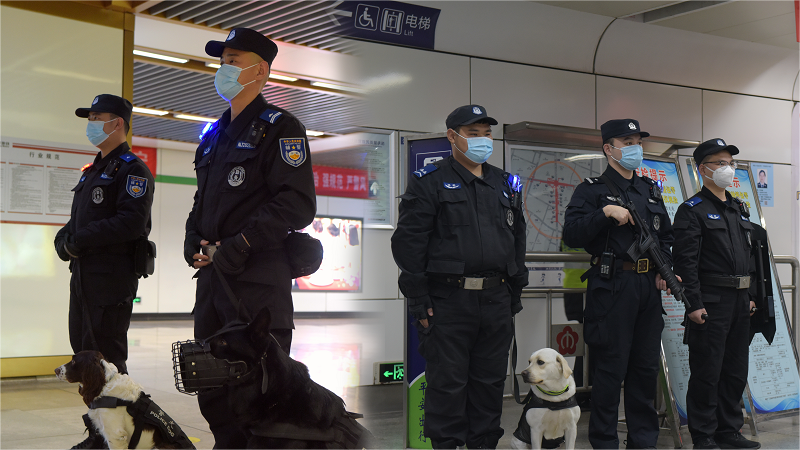 正月十五元宵到，可愛又酷炫的它們守護您的出行安全