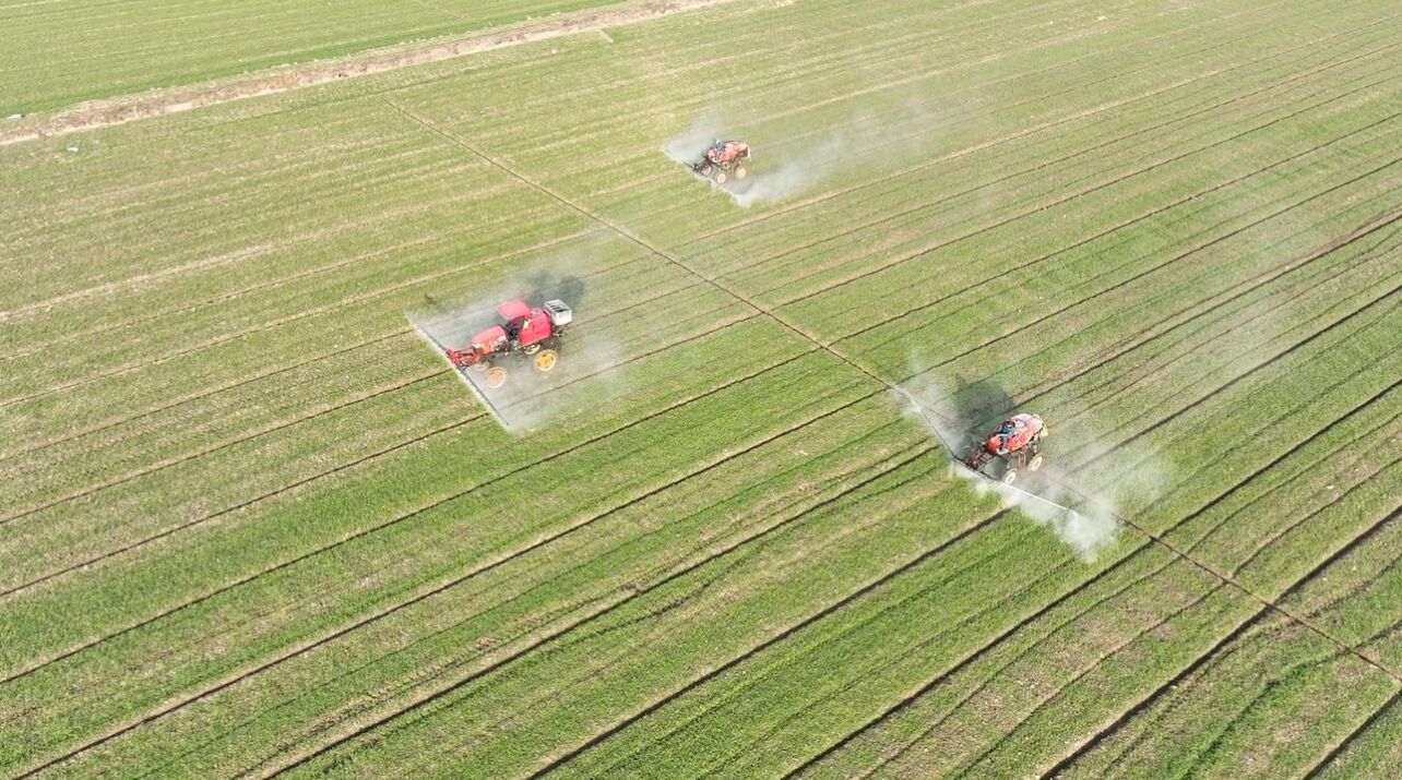 不負春光忙起來！