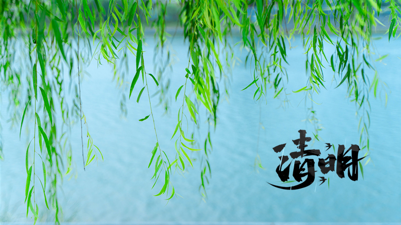 今日清明丨清風化雨，思念綿長