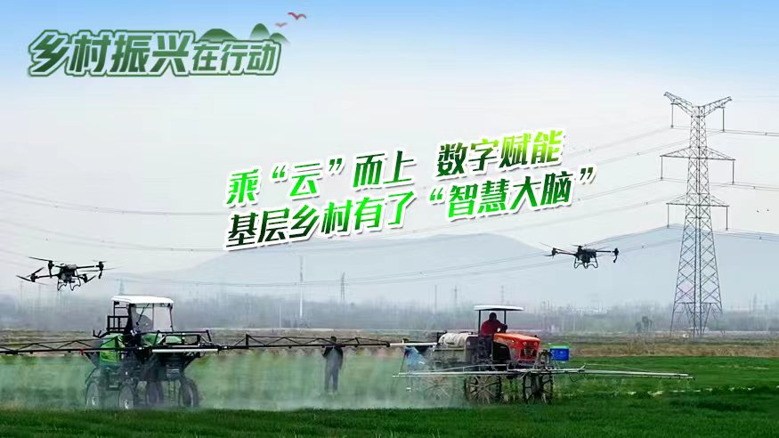 鄉村振興在行動丨乘“云”而上 數字賦能 基層鄉村有了“智慧大腦”