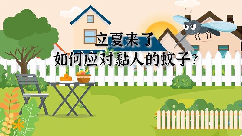 立夏來了 如何應對黏人的蚊子？
