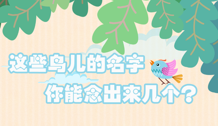 世界候鳥日|這些鳥兒的名字，你能念出來幾個？