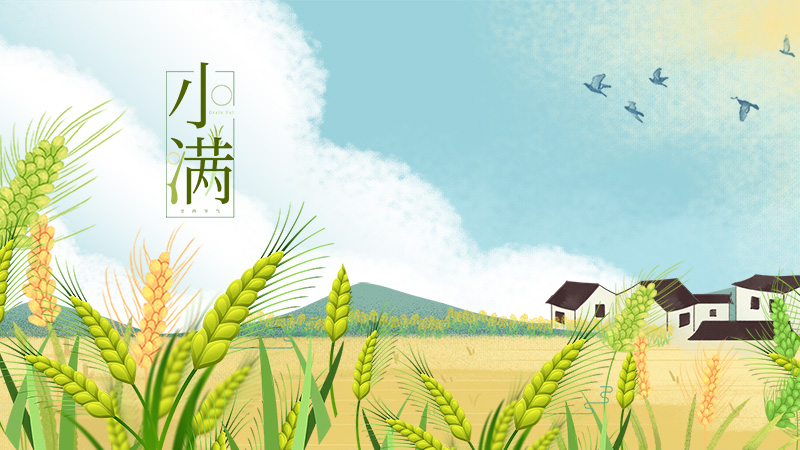 小滿｜小滿小滿，小得盈滿